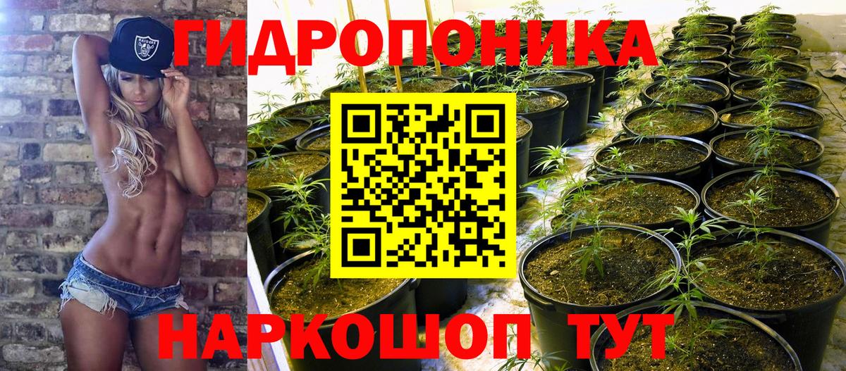 Клинцы  Каннабис семена  Марихуана Bruce Banner  Каннабис LSD WEED  Вход с VPN 